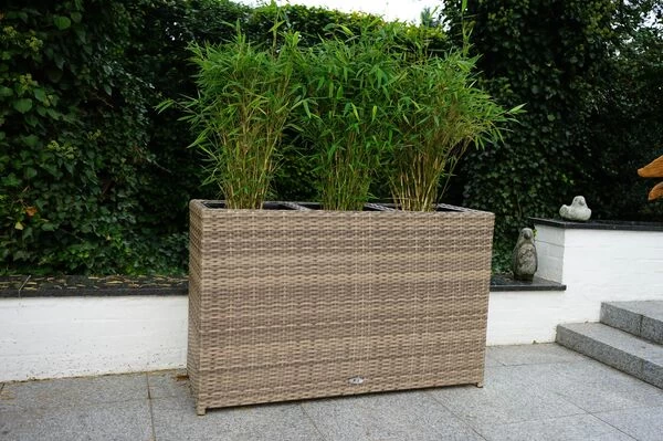 Ploß Rabida Pflanzgefäß, Champagner-meliert, Polyrattan, 113x40x70 Cm, Mit 3 Kunststoffeinsätzen 3 Ploß Rabida Pflanzgefäß, Champagner-meliert, Polyrattan, 113x40x70 Cm, Mit 3 Kunststoffeinsätzen