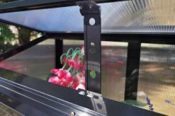 OUTFLEXX Gewächshaus, Schwarz, Alu/Polycarbonat, 91x51x168cm, Pulverbeschichtet -Gartenmöbel Geschäft 22274 11.jpg