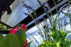 OUTFLEXX Gewächshaus, Schwarz, Alu/Polycarbonat, 91x51x168cm, Pulverbeschichtet -Gartenmöbel Geschäft 22274 13.jpg