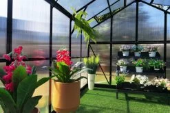 OUTFLEXX Gewächshaus, Schwarz, Alu/Polycarbonat, 494x250x228cm, Pulverbeschichtet -Gartenmöbel Geschäft 22281 10.jpg