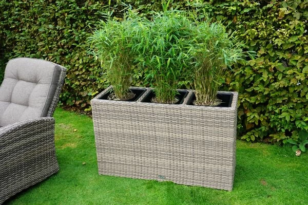 Ploß Rabida Pflanzgefäß, Champagner-meliert, Polyrattan, 113x40x70 Cm, Mit 3 Kunststoffeinsätzen 4 Ploß Rabida Pflanzgefäß, Champagner-meliert, Polyrattan, 113x40x70 Cm, Mit 3 Kunststoffeinsätzen – Bild 2