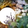 OUTFLEXX Exklusivmodell Shining Globe Dekoleuchte, Polyethylen, 30x28,5 Cm, Inkl. Fassung Und LED-Leuchtmittel -Gartenmöbel Geschäft 31289 01.jpg