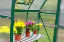 OUTFLEXX Gewächshaus, Grün, Alu/Polycarbonat, 6mm, Inkl. Fundament, Pulverb. 195 X 195 X 205 Cm 10 OUTFLEXX Gewächshaus, Grün, Alu/Polycarbonat, 6mm, Inkl. Fundament, Pulverb. 195 X 195 X 205 Cm -Gartenmöbel Geschäft 3 13751.jpg