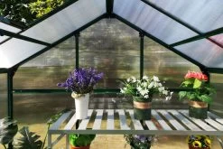 OUTFLEXX Gewächshaus, Grün, Alu/Polycarbonat, 190x125x203 Cm, Pulverbeschichtet -Gartenmöbel Geschäft 4 20085.jpg